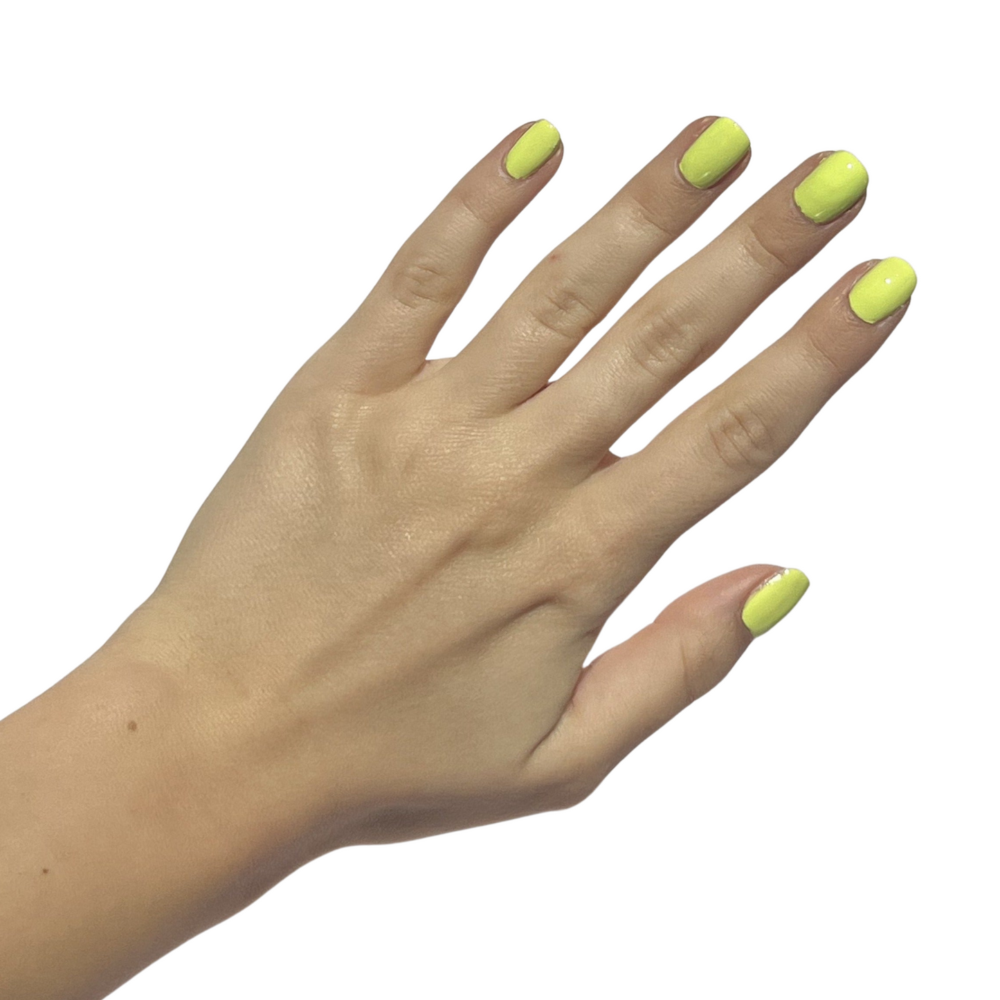Wasabi