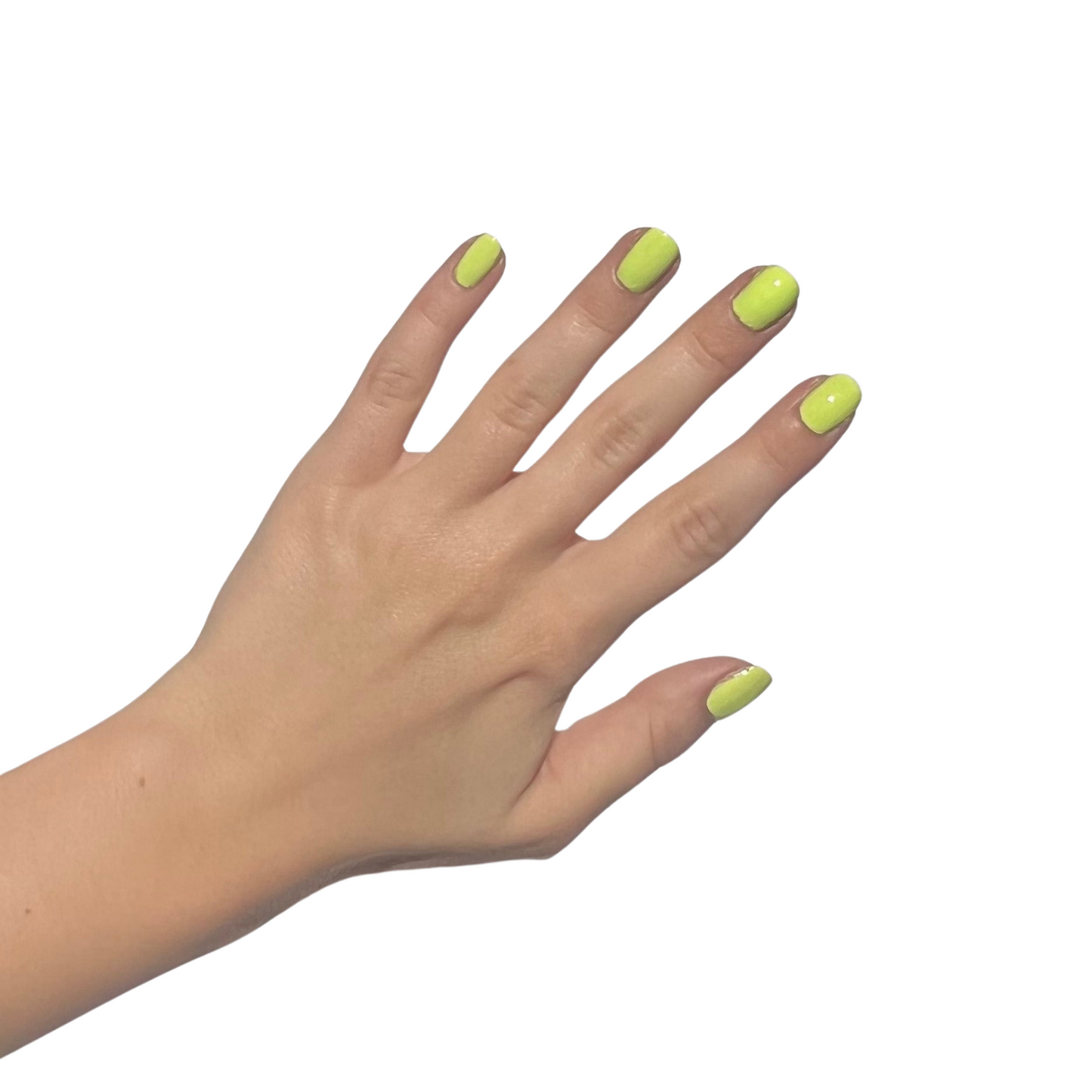 Wasabi